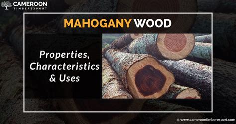 mahogany meaning.